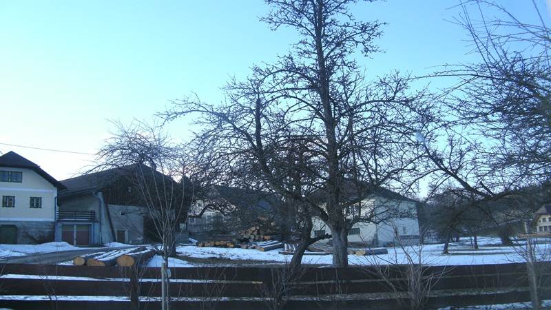 Zwettl, Upper Austria  (21. Februar 2011)