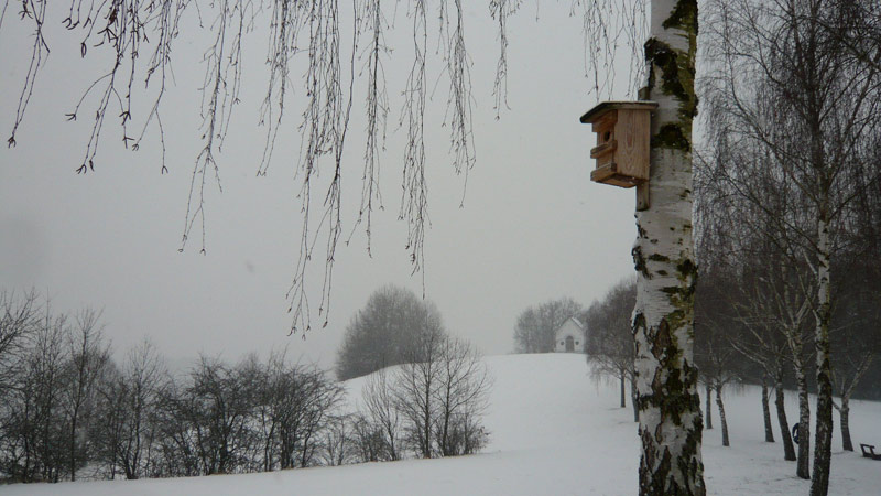Gutau, Upper Austria, Austria ( 9. Februar 2012)