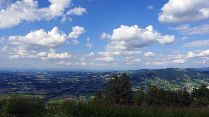 4562 Steinbach am Ziehberg, Austria (15. Juni 2014)