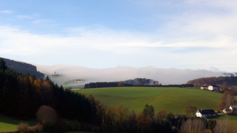 4293 Gutau, Austria (10. November 2014)