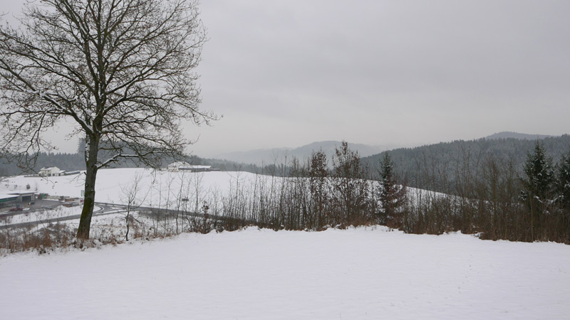 4293 Gutau, Austria ( 2. Januar 2015)