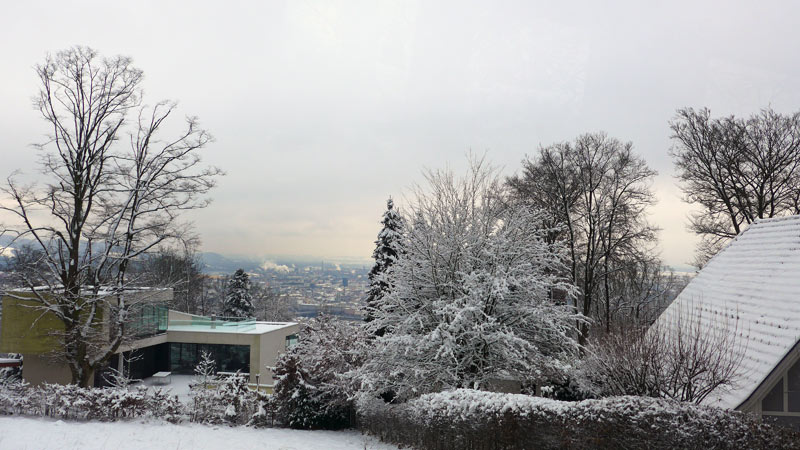 Linz, Oberösterreich, Österreich (26. Januar 2015)