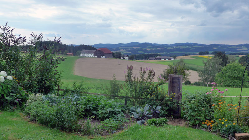 Lasberg, Oberösterreich, Österreich ( 2. August 2016)