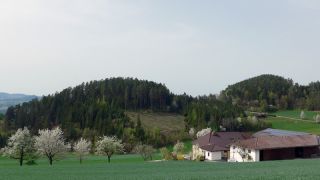 4291 Lasberg, Österreich ( 9. April 2024)
